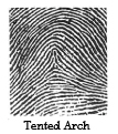 SPB-tented-arch.jpg