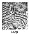 SPB-loop.jpg