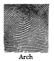 SPB-arch.jpg