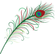 SPB-peackock-feather.png